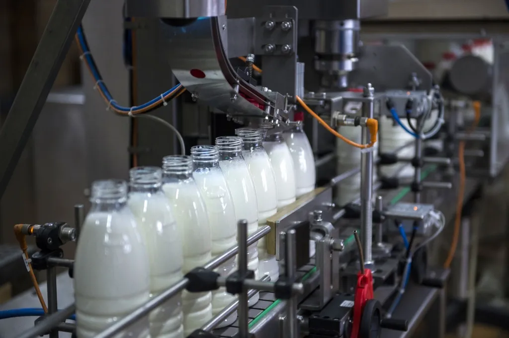 Производство пищевых продуктов
